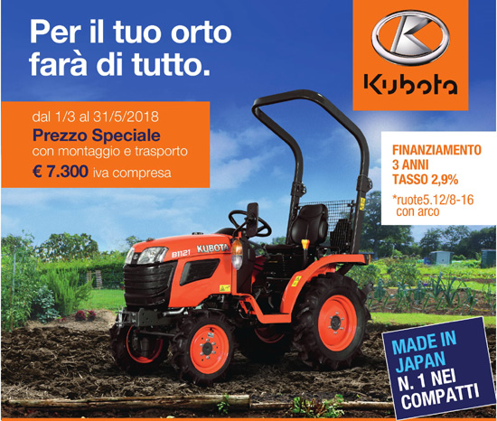 Kubota_B1121_210x287 x550